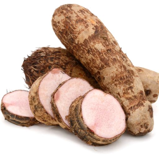Queensland Arrowroot