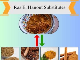 6 Best Ras El Hanout Substitutes for Flavorful Cooking