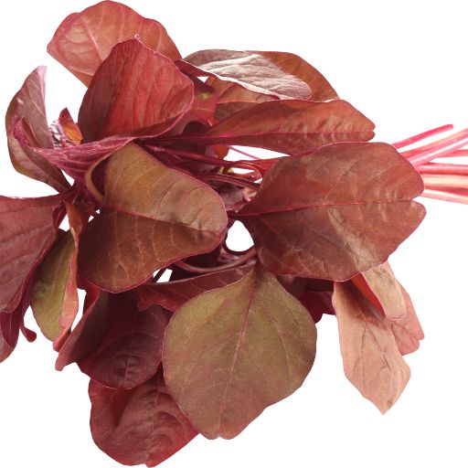 Red Amaranth Leaves