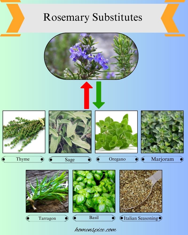 7 Best Rosemary Substitutes for Cooking and Flavor