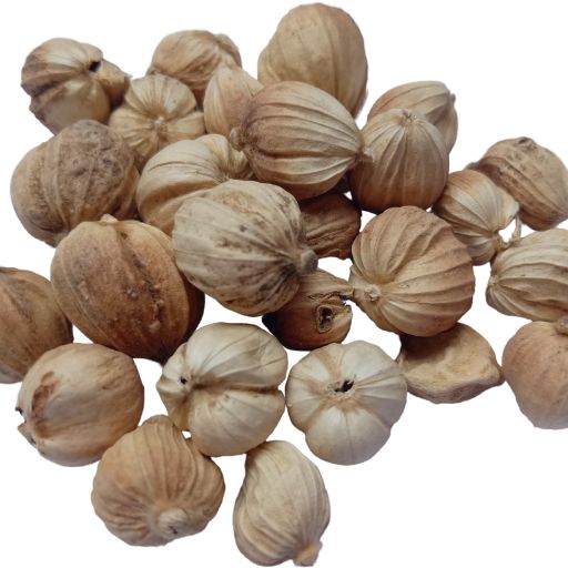 Round Cardamom