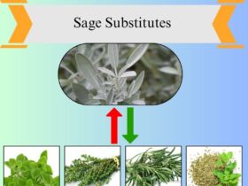 7 Best Sage Substitutes for Cooking and Flavor