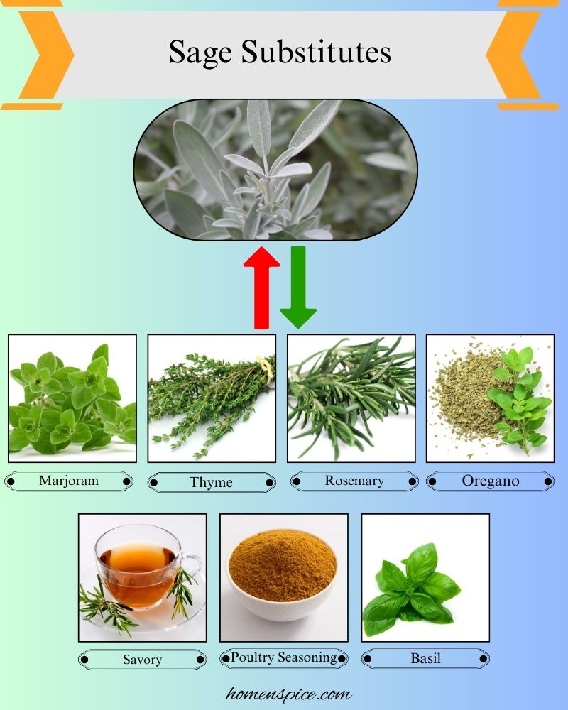 7 Best Sage Substitutes for Cooking and Flavor