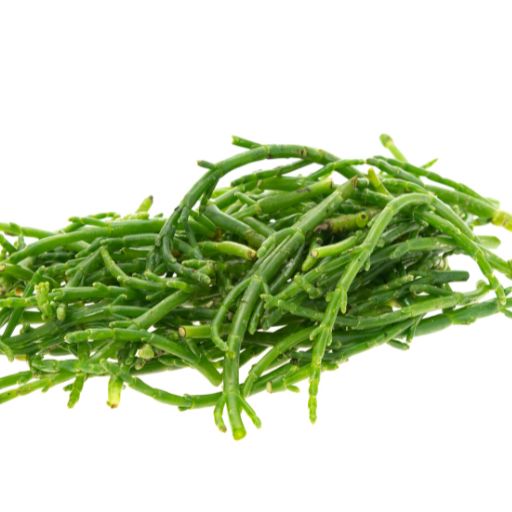 Samphire