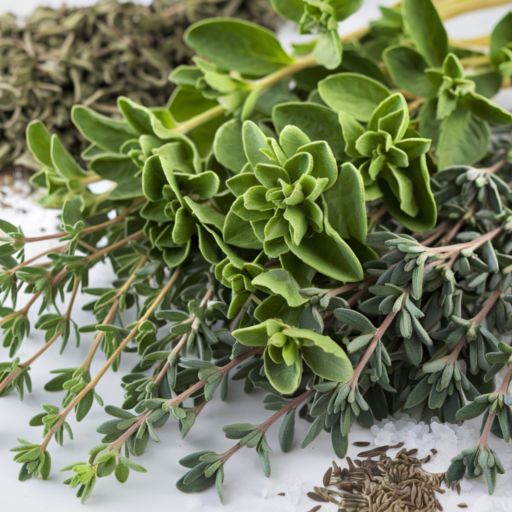 Savory + Oregano + Thyme