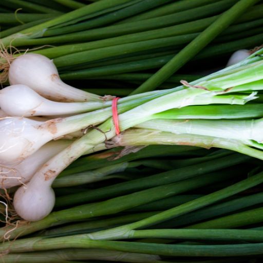 Scallions (Green Onions)
