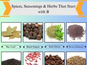 Spices, Seasonings & Herbs that Start with B