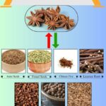 7 Best Star Anise Substitutes for Cooking and Baking