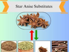 7 Best Star Anise Substitutes for Cooking and Baking