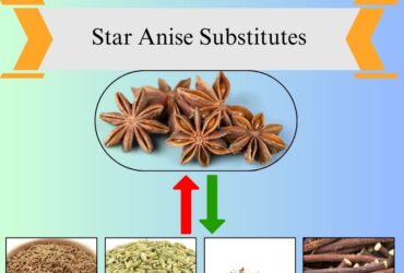 7 Best Star Anise Substitutes for Cooking and Baking