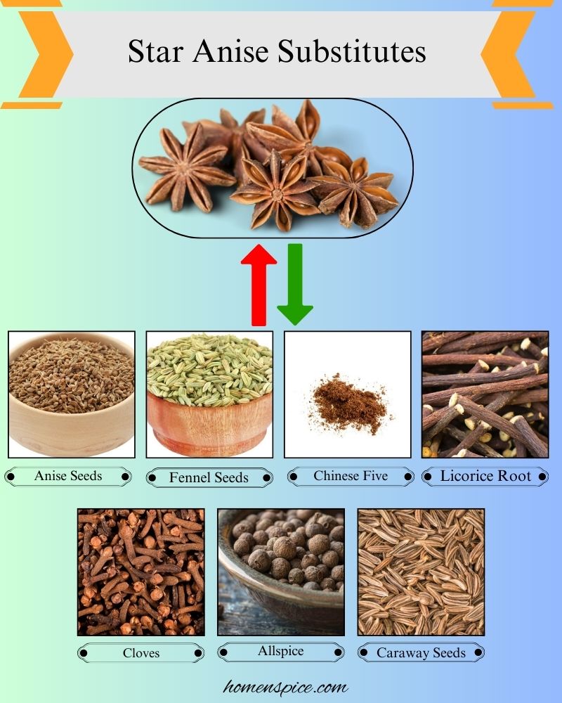 7 Best Star Anise Substitutes for Cooking and Baking
