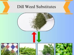 7 Best Substitutes for Dill Weed in Cooking