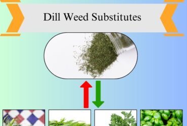7 Best Substitutes for Dill Weed in Cooking