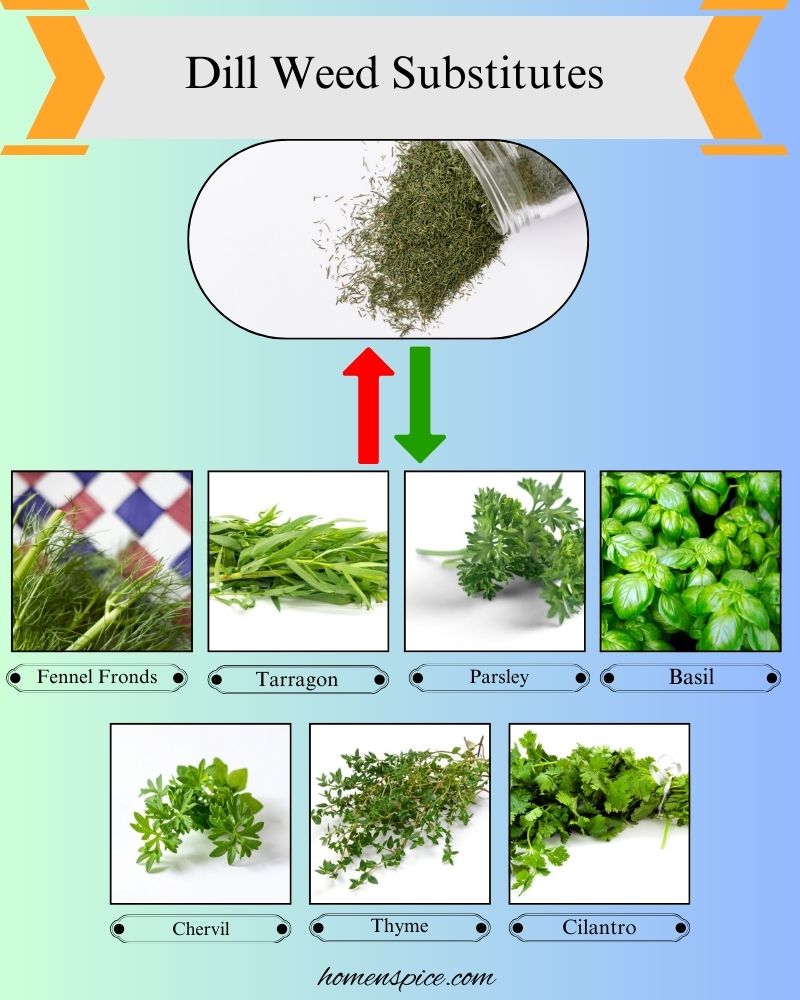 7 Best Substitutes for Dill Weed in Cooking