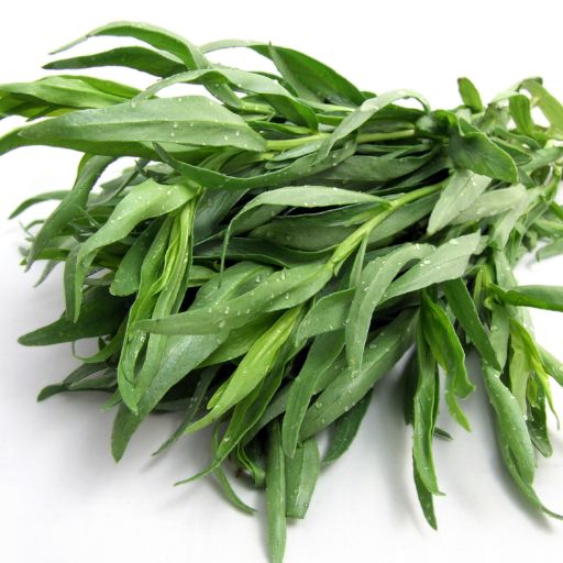 Tarragon