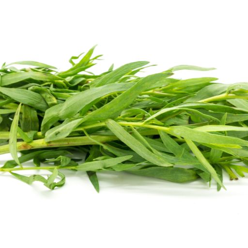 Tarragon