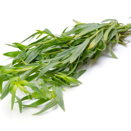 Tarragon