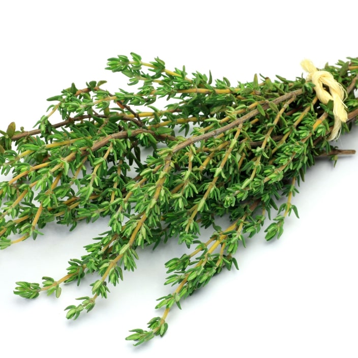 Thyme