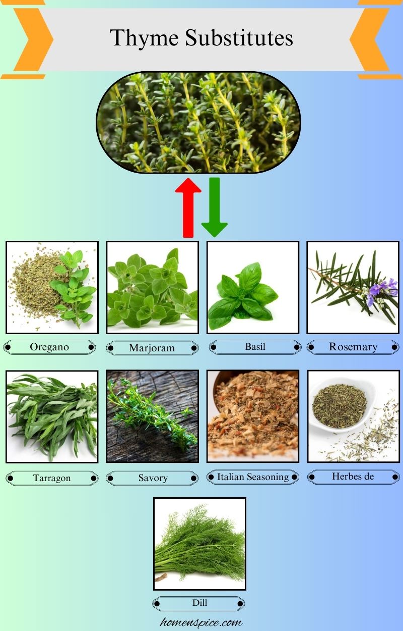 9 Best Thyme Substitutes for Cooking and Flavor