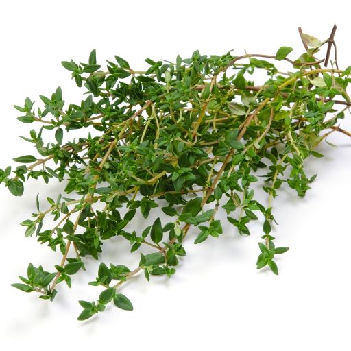 Thyme
