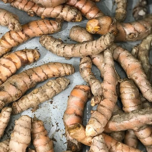 Turmeric Root