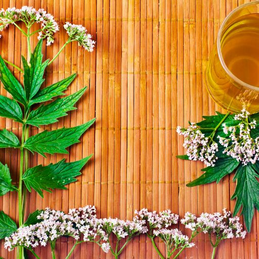 Valerian Leaves