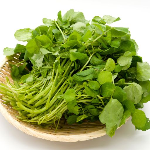 Watercress
