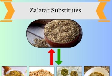 6 Simple Za’atar Substitutes You Can Try at Home