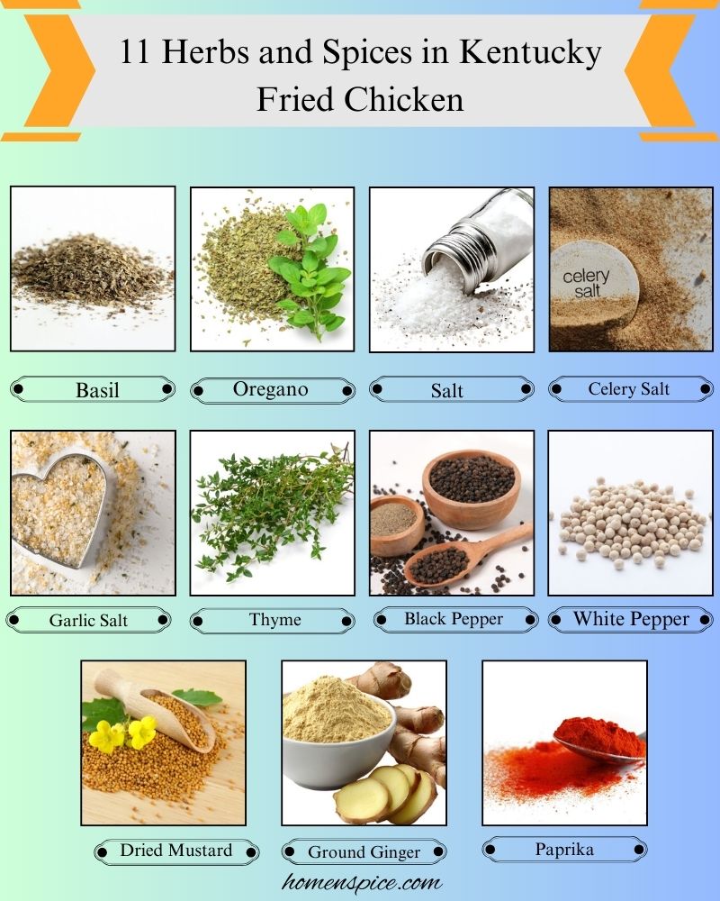 11 Herbs and Spices in Kentucky Fried Chicken