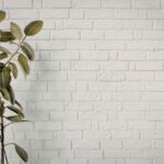 Brick wall