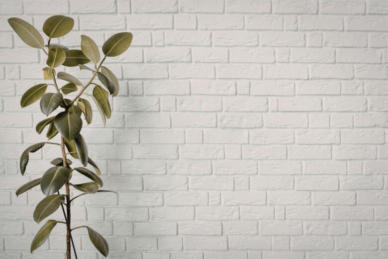 Brick wall