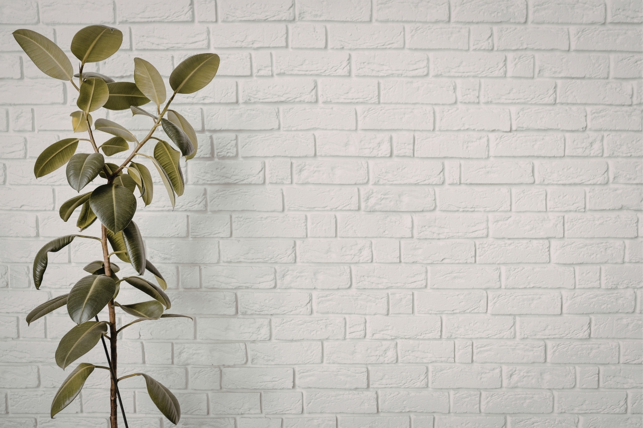 Brick wall