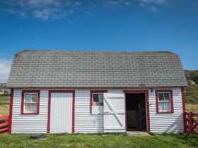 Barn Shed