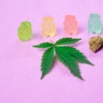 Best Delta 9 THC Edibles