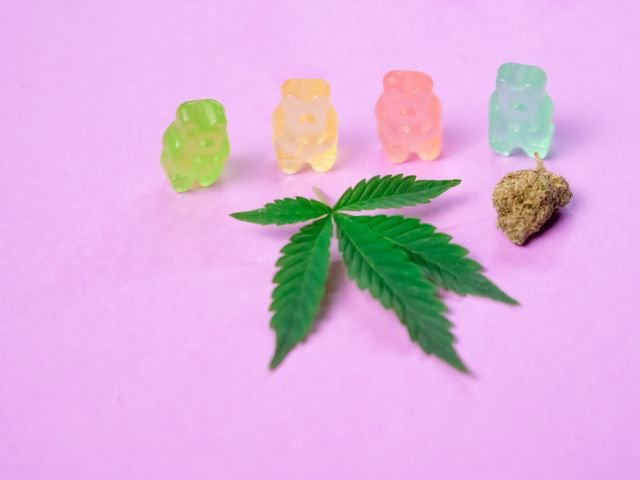 Best Delta 9 THC Edibles